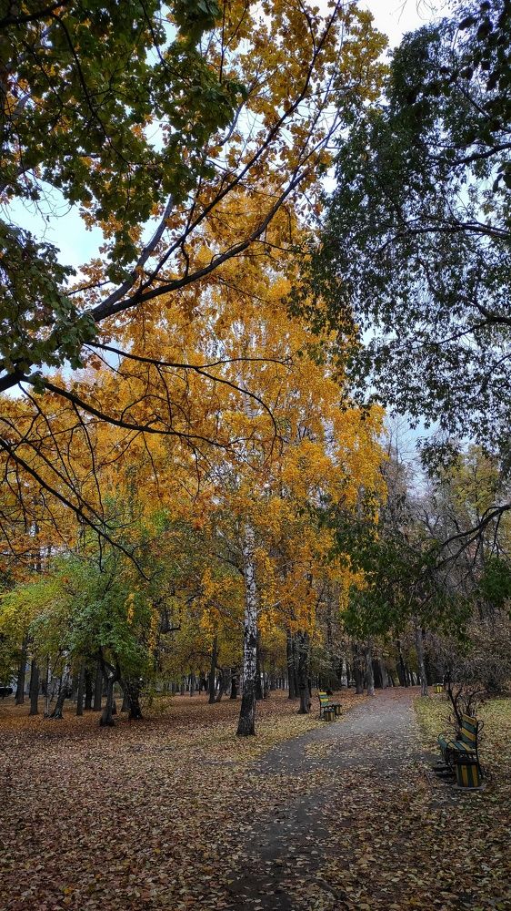 Photograph by Наталья Рау