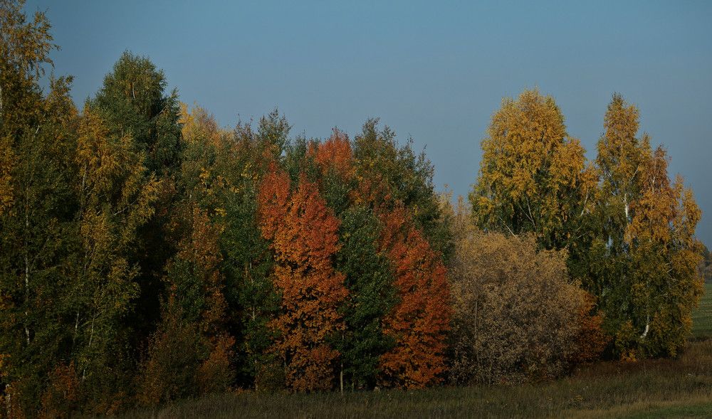 Photograph by Ирина Яковлева