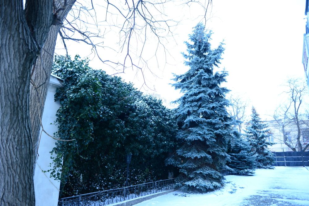 Photograph by Сергей Борисов