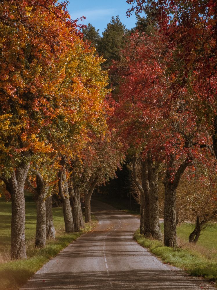 Photograph by Irina Tischer