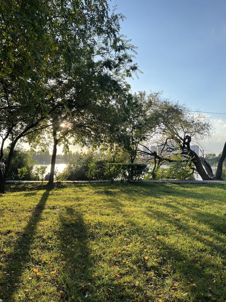 Photograph by Oksana lukyanova