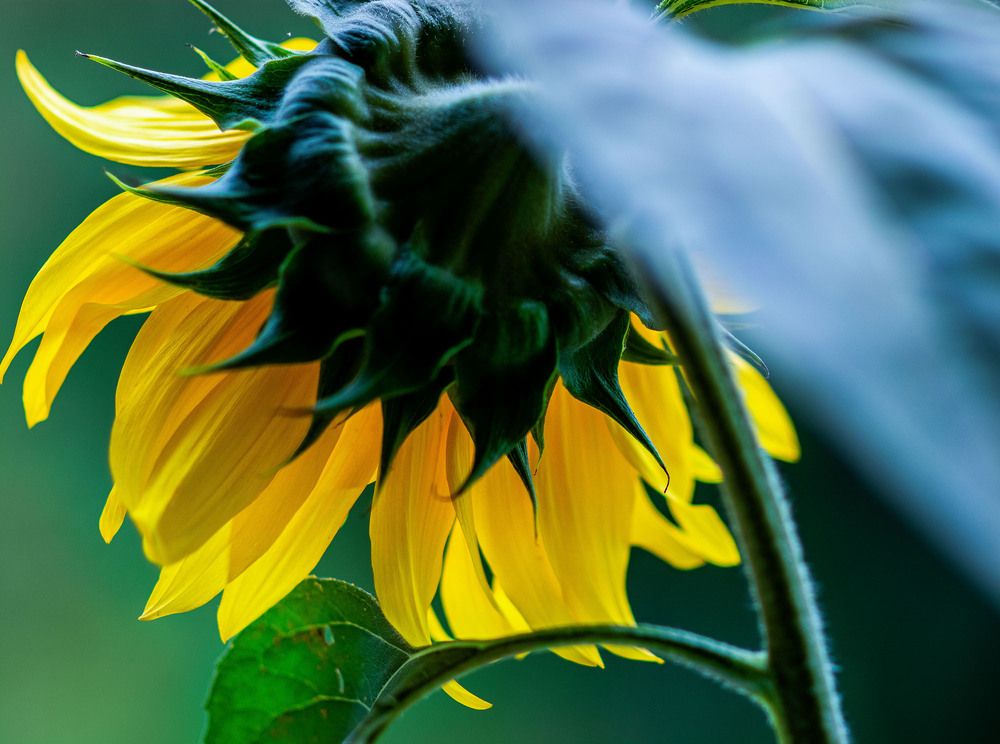 Photograph by Ваиль А