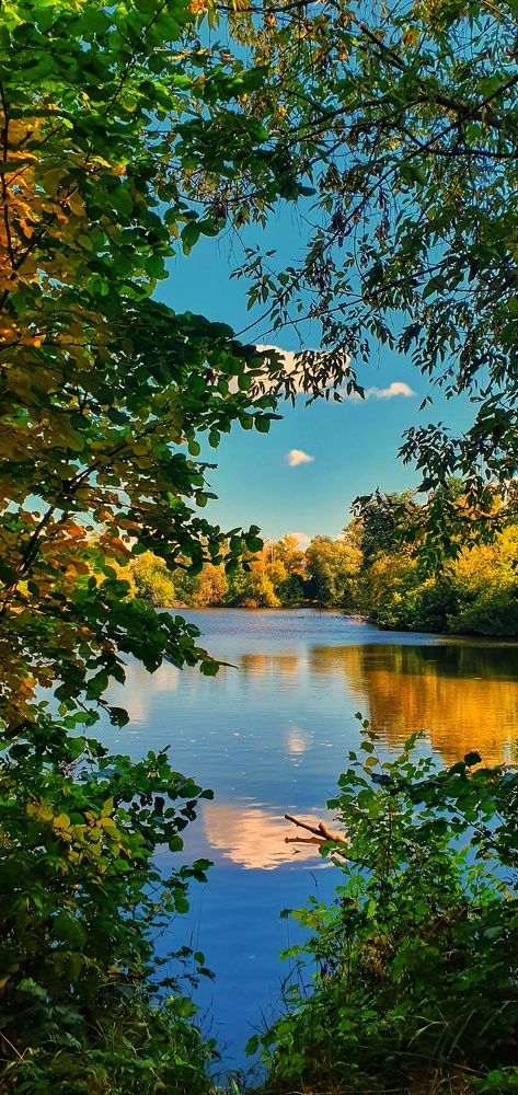 Photograph by Людмила Лукьяненко