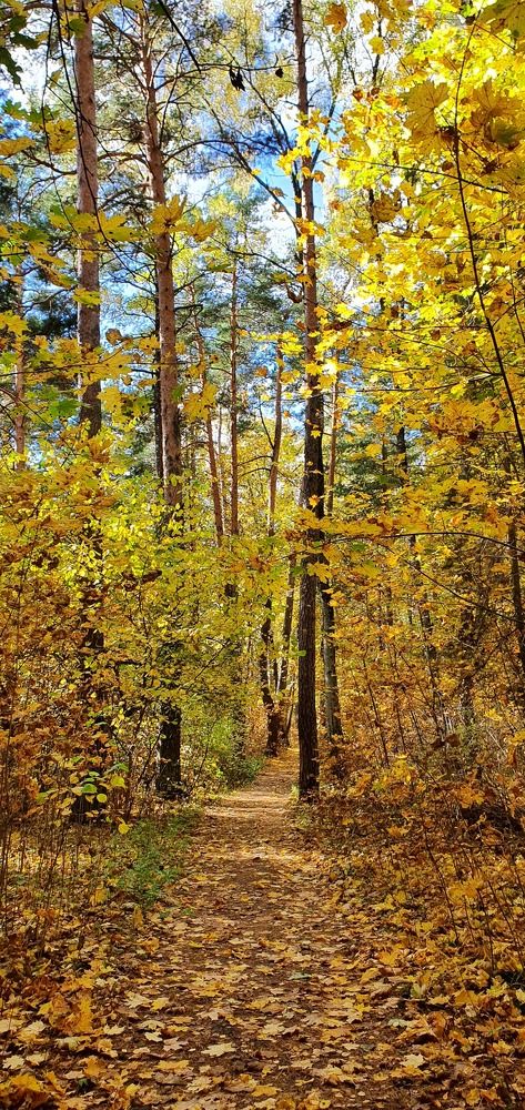 Photograph by Людмила Лукьяненко