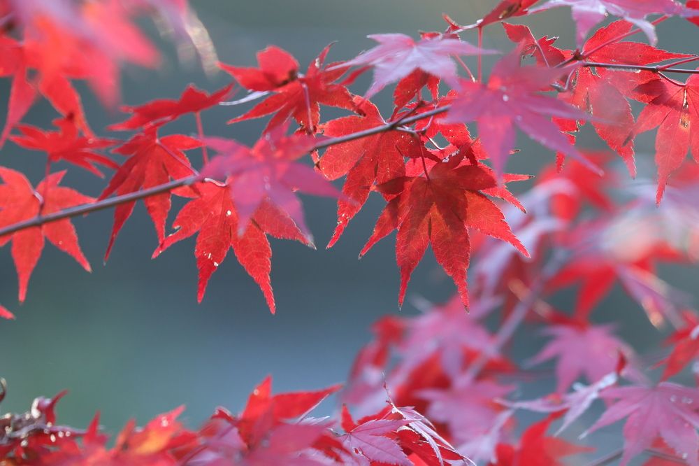 Photograph by Se Lena