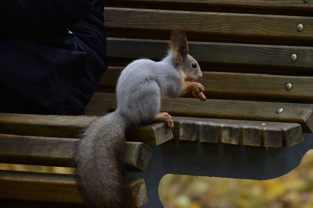 Photograph by Михаил Жарков