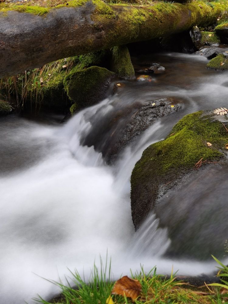 Photograph by Светлана