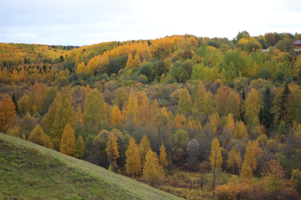 Photograph by Елена Петрова