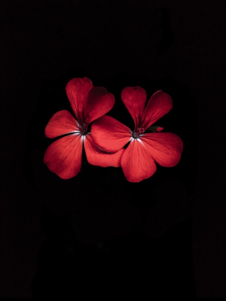 Photograph by lahiru sandaruwan