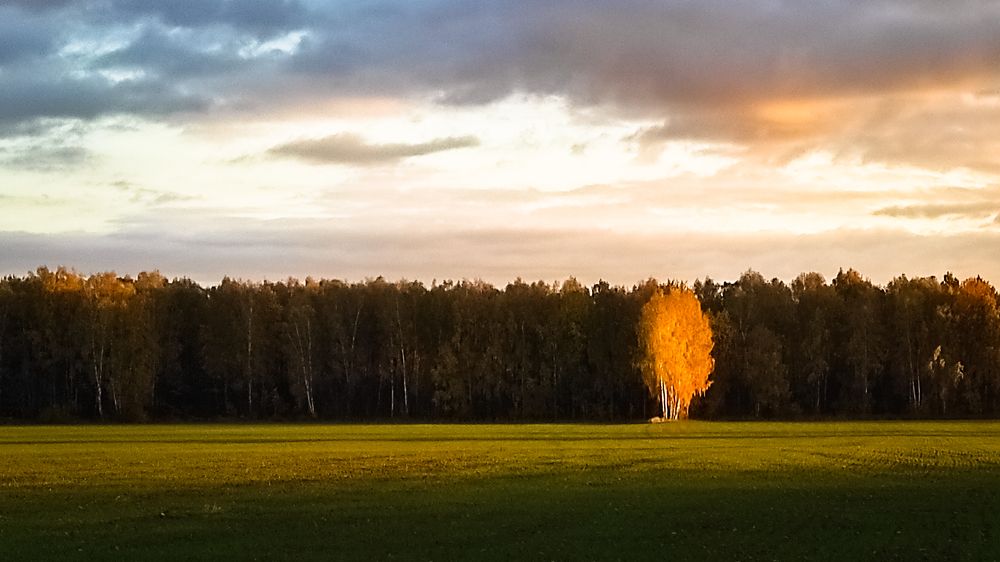 "в свете софитов"