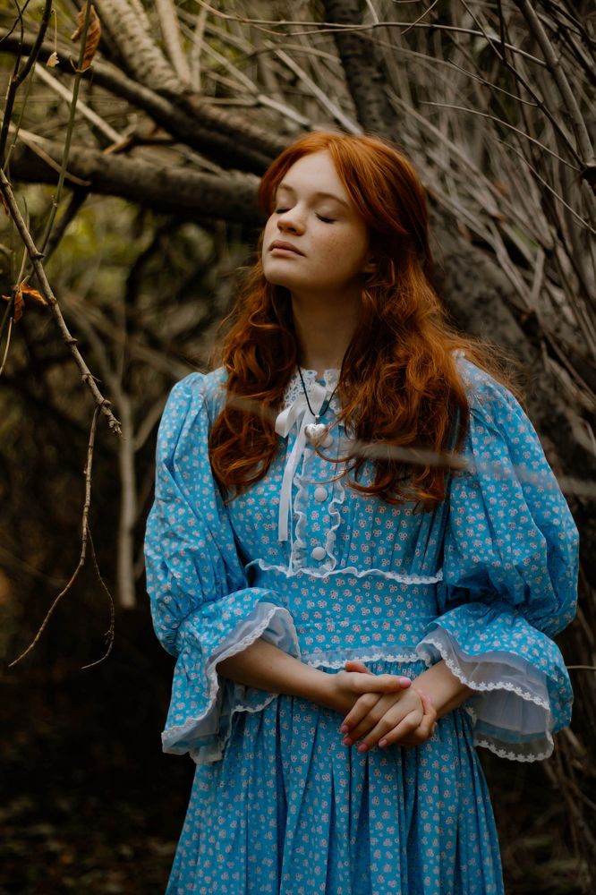 "Энн с двумя н"