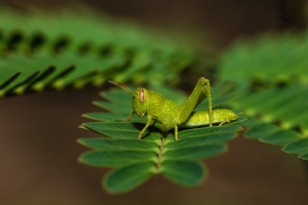 Photograph by SOUFIANE EL KADAOUI
