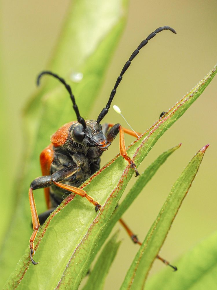 Photograph by Лейла Прощина