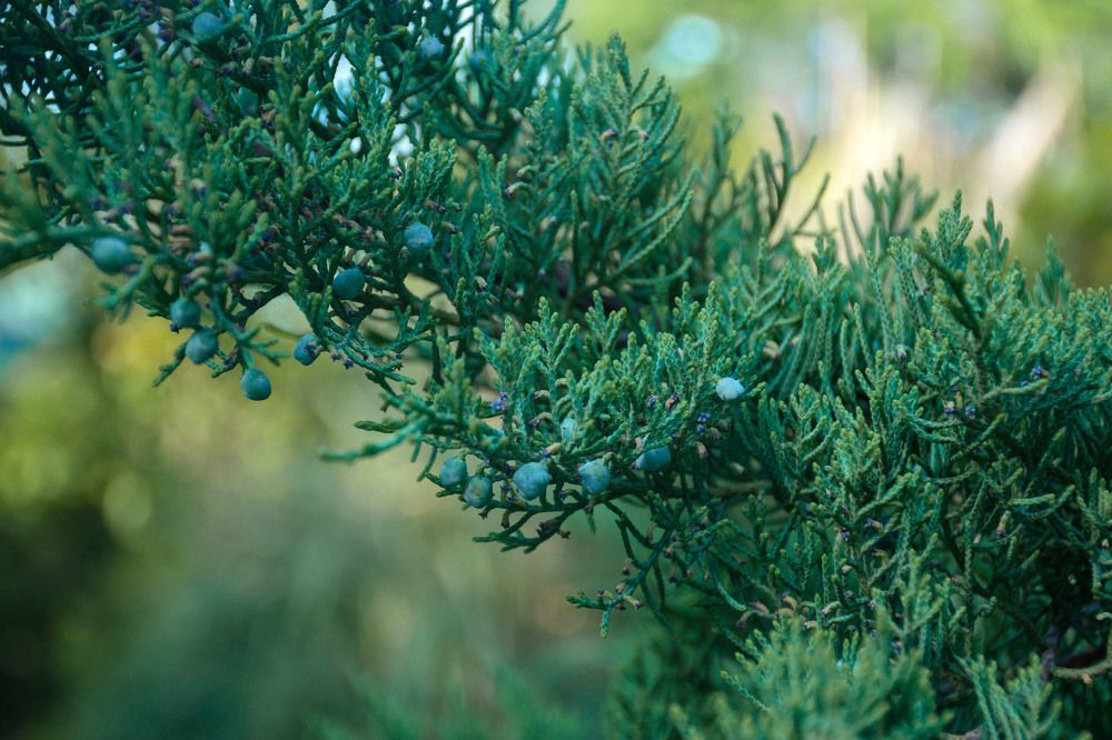 Photograph by Татьяна Пахатинская