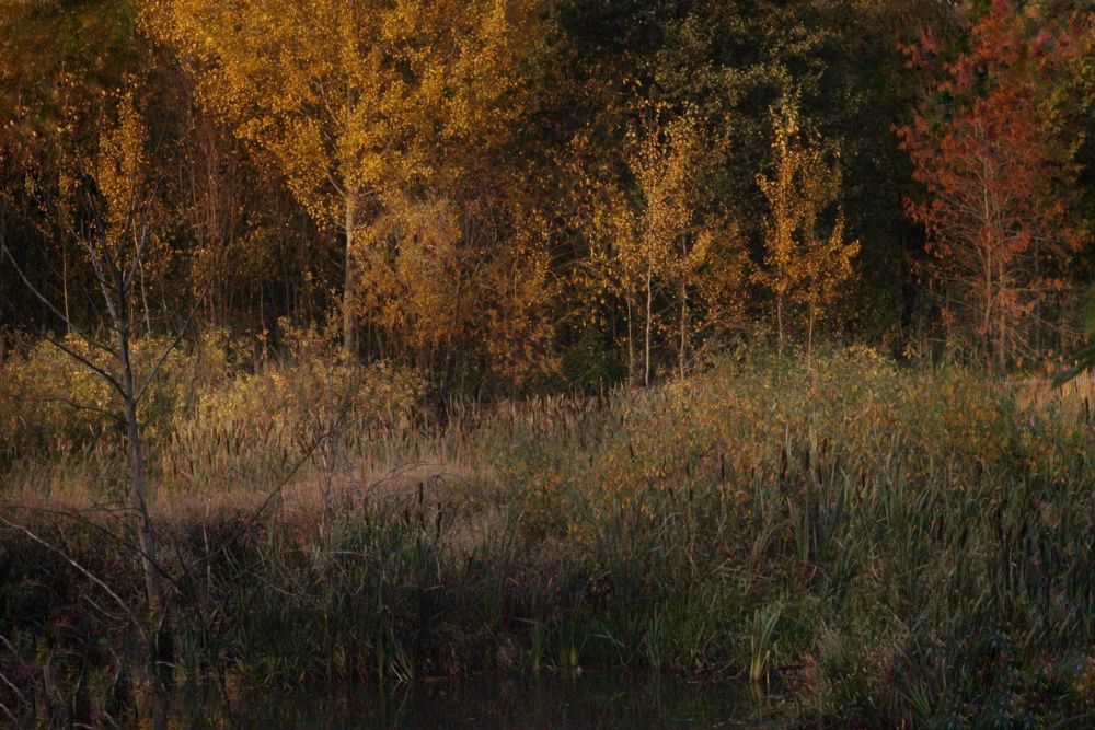 Photograph by Татьяна Аршинова