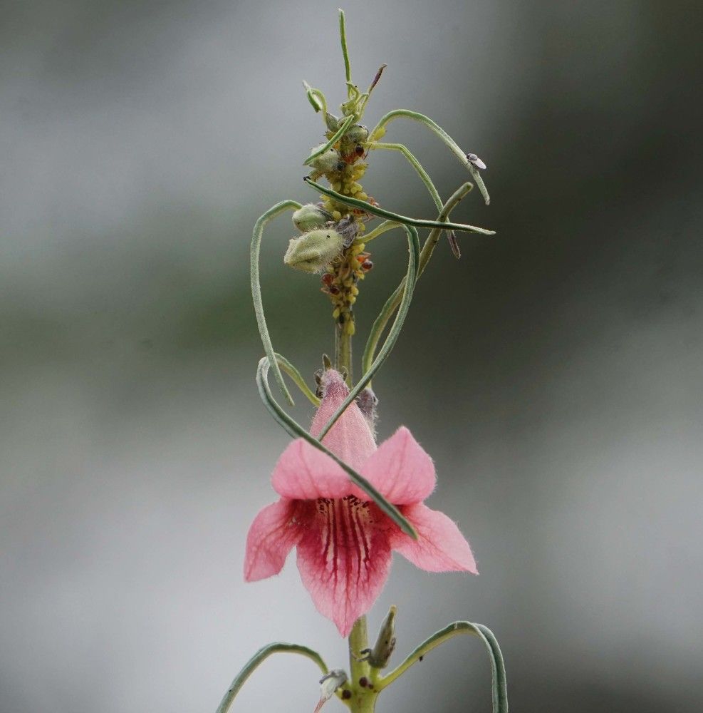 Photograph by Prabhu Viswanathan