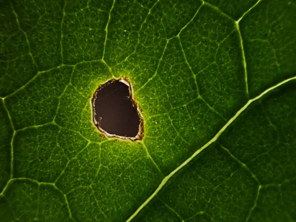 Photograph by Sanket Gudashi