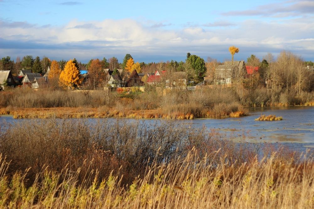 Photograph by Елена Петрова