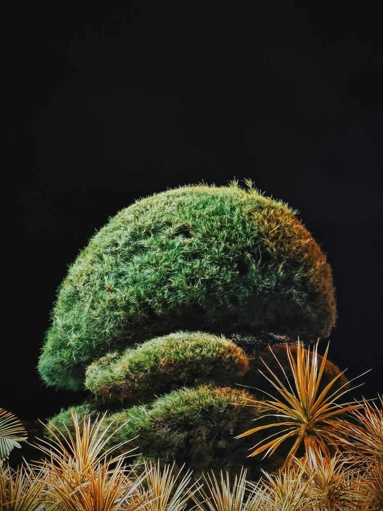 Photograph by Ajay Fajar PR