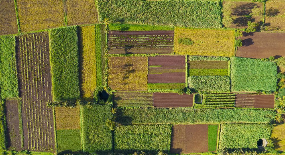 Photograph by Sanket Gudashi