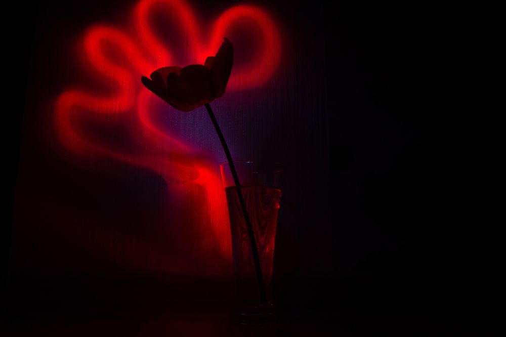 Фотография автора OXANA MARSOVA