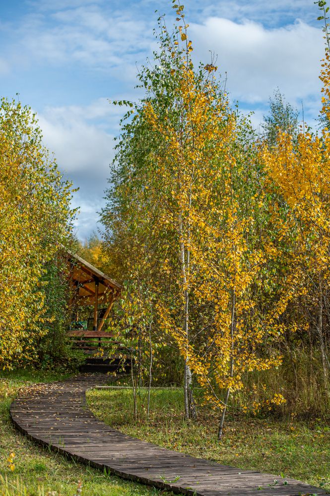 Photograph by Кристина Фарнакеева