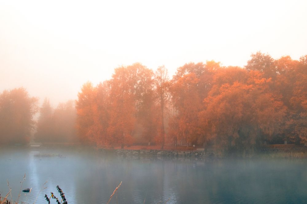 Photograph by Дарья Зайцева