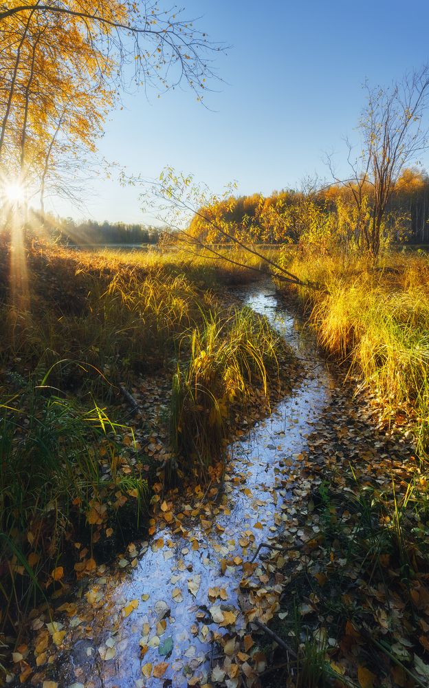 Photograph by Чаланов Иван