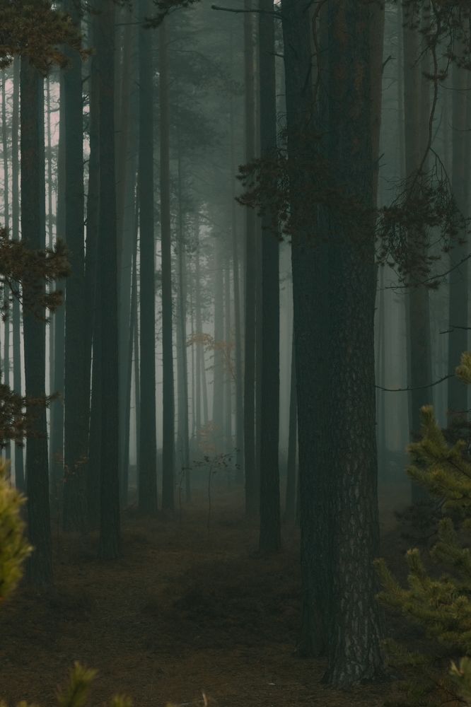 Photograph by Дарья Зайцева