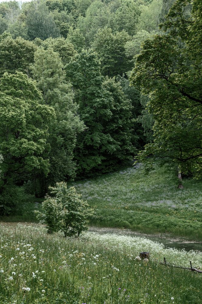 Photograph by Pauline Starodubova