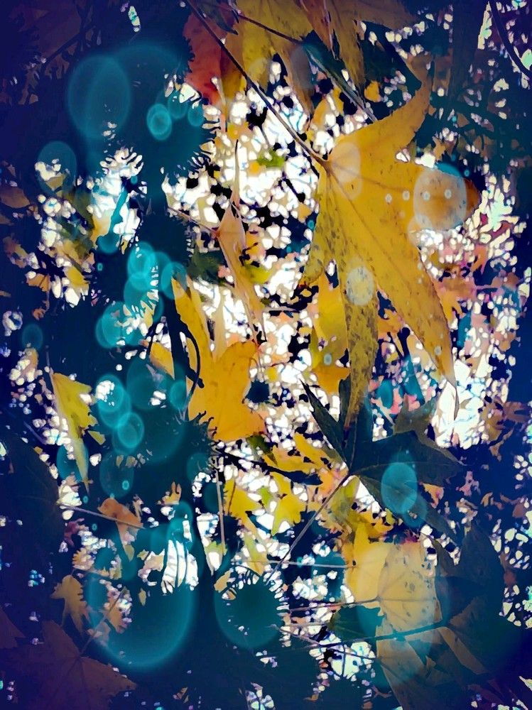 Фотография автора Anila Ismailaj