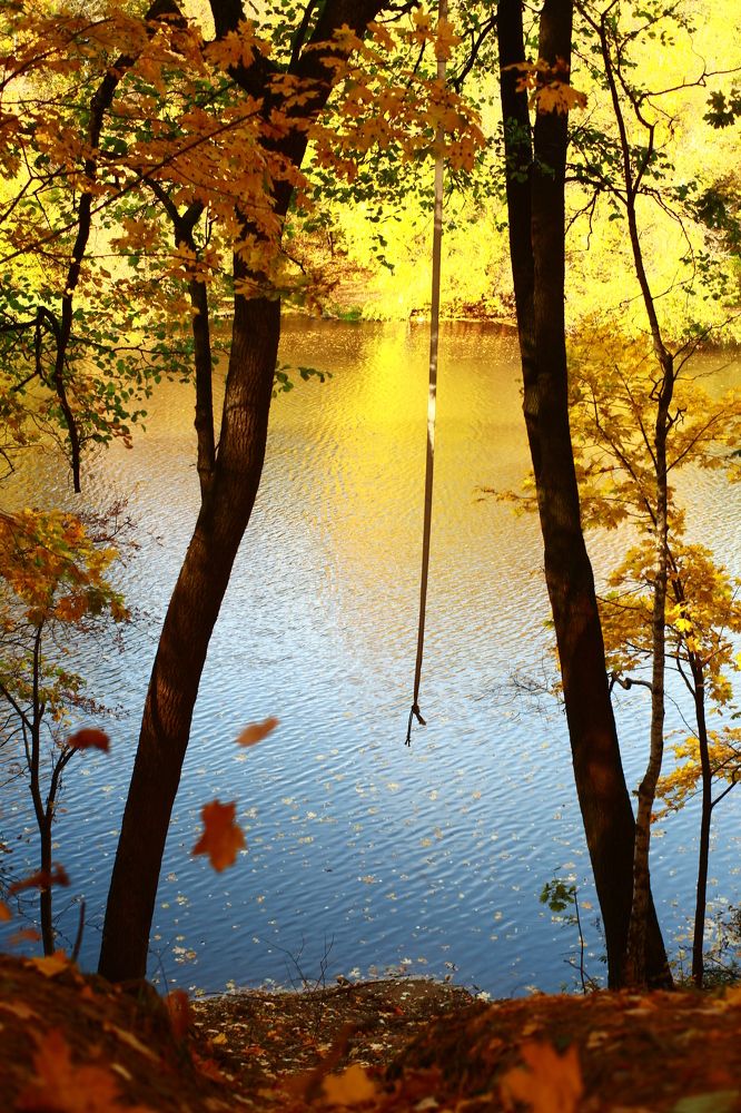 Photograph by Milla Luca