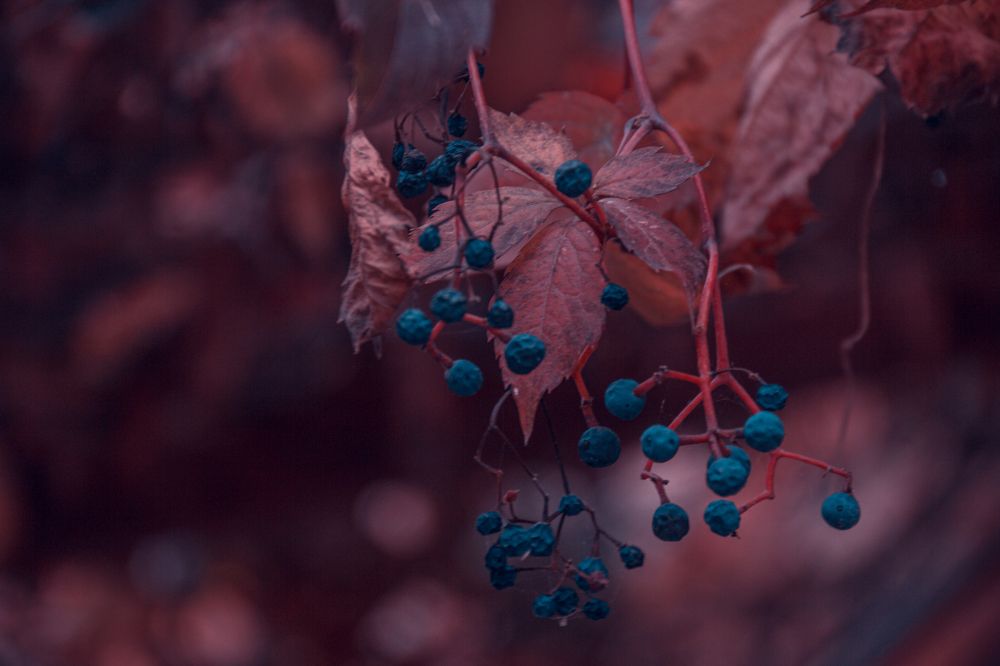 Фотография автора OXANA MARSOVA