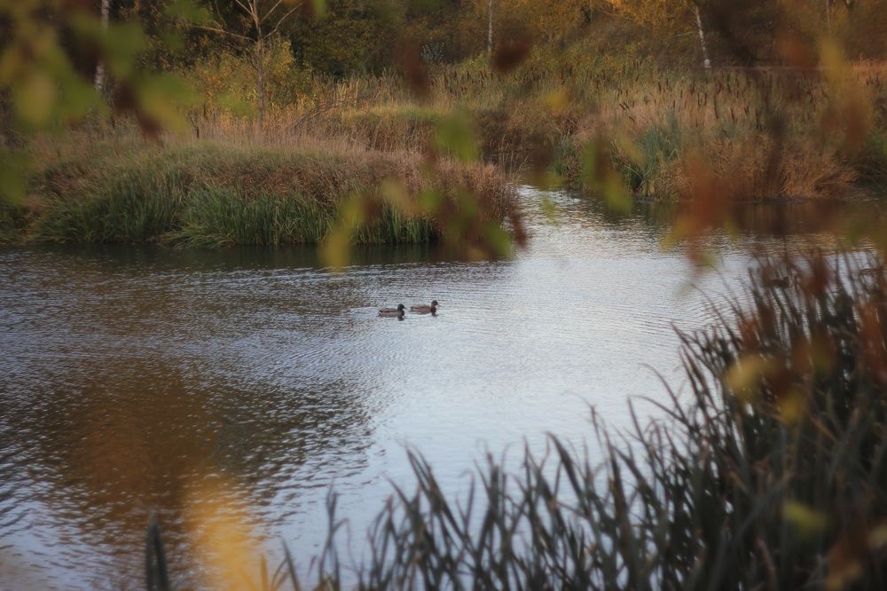 Photograph by Татьяна Аршинова