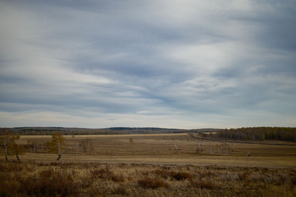 Photograph by Наталья Ефимова