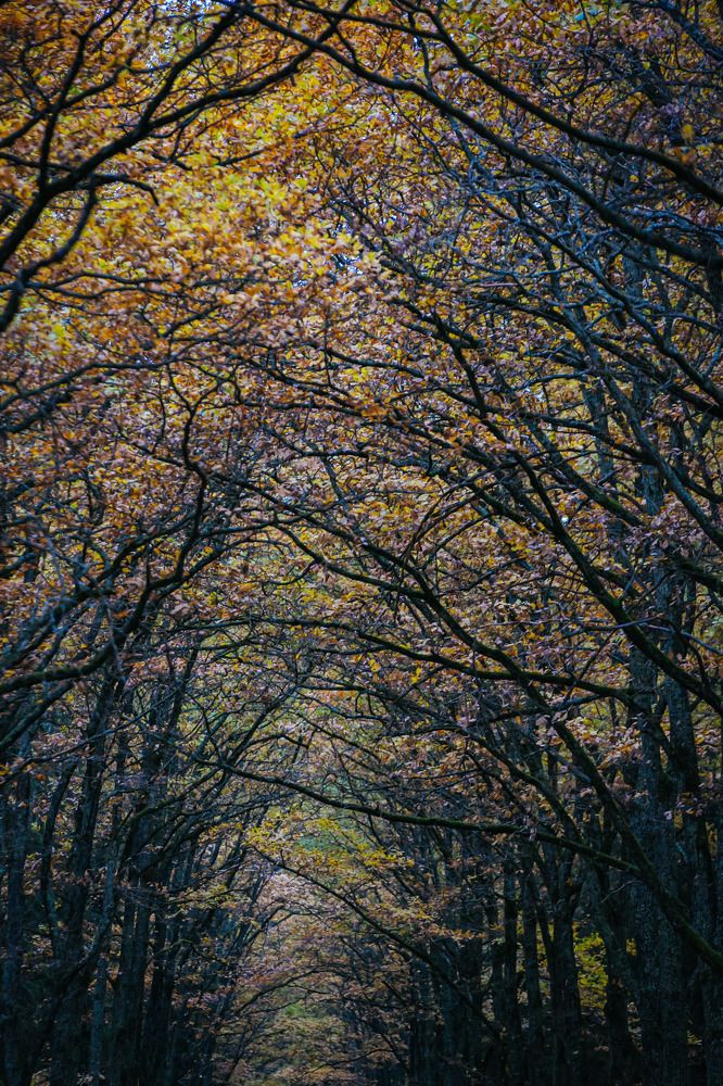Photograph by Очева Наталья Александровна