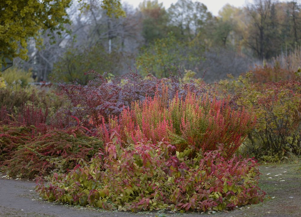 Photograph by Ирина Яковлева