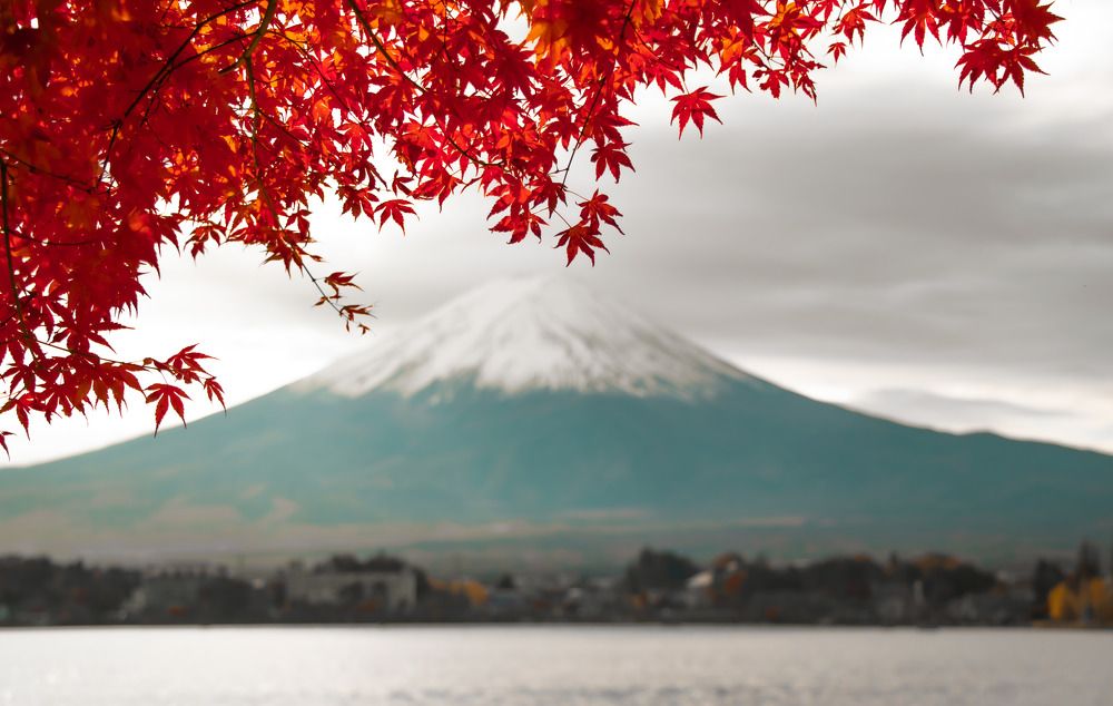 Photograph by LE HUY HUNG