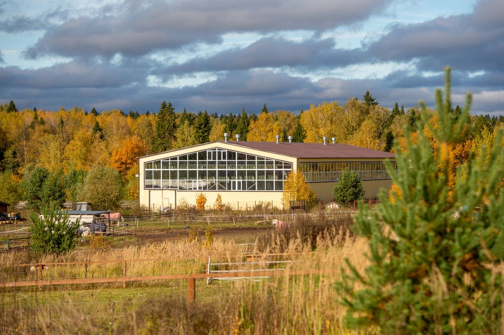 Photograph by Кристина Фарнакеева