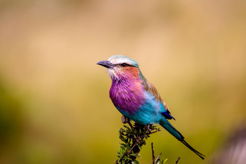 Photograph by Vita Potomova