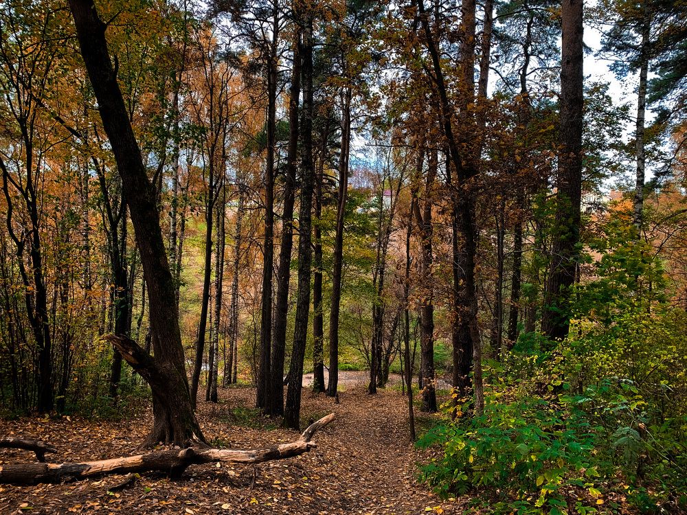 Photograph by Юлия Чиклеева