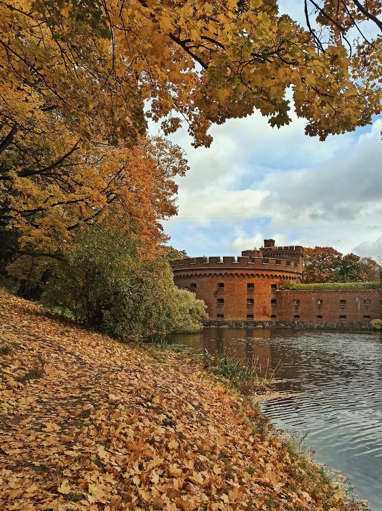 Photograph by Жигульский Сергей