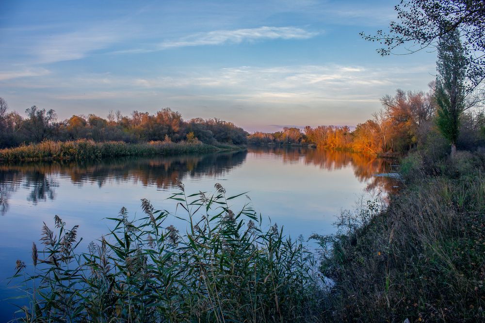 Photograph by Алексей Тимофеев