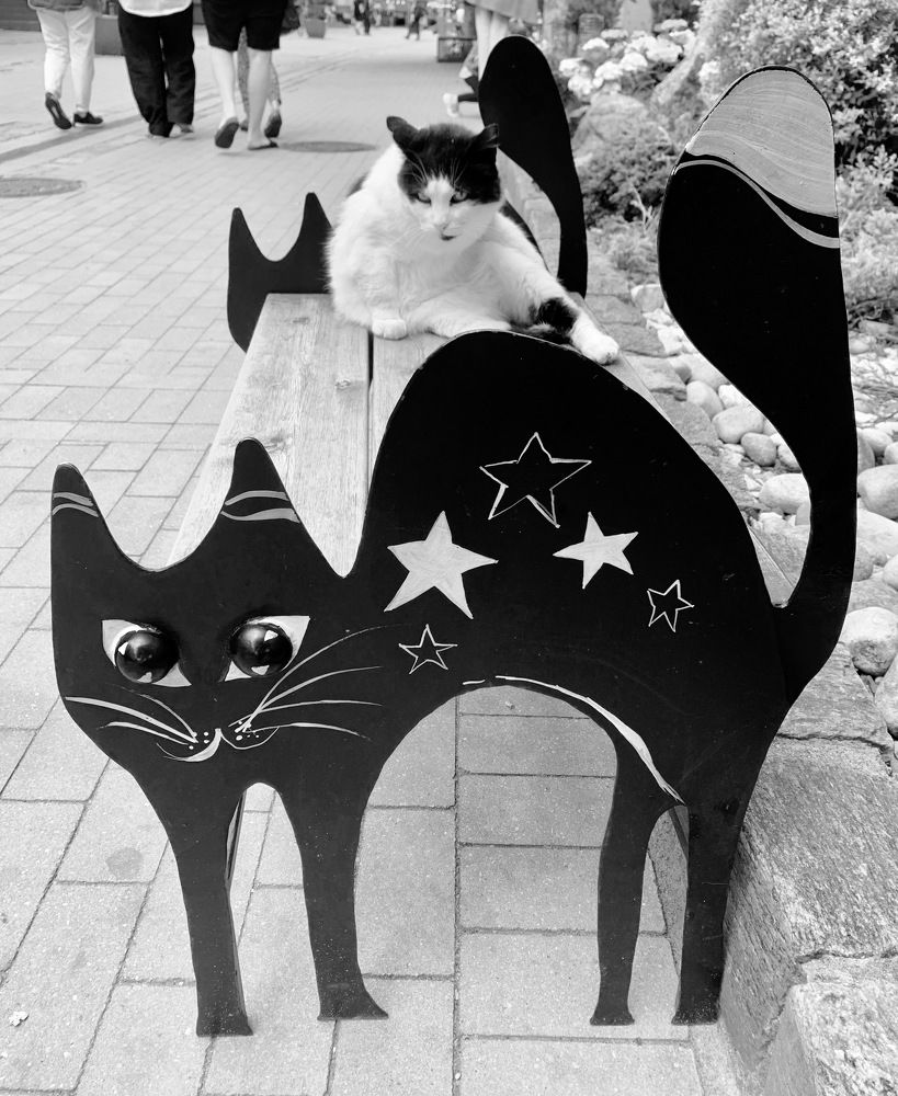 Photograph by Irina Andrienko