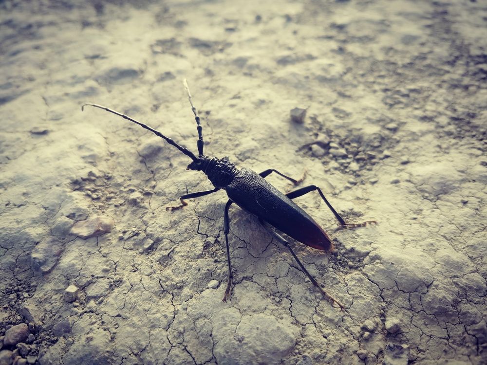 Фотография автора OXANA MARSOVA