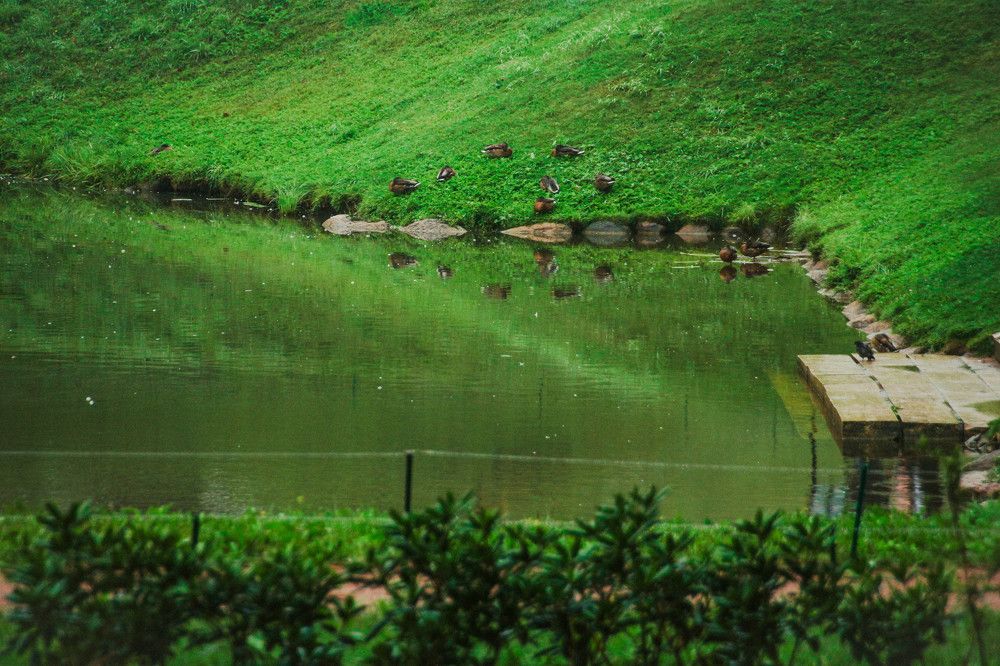 Photograph by Ефимова Анна