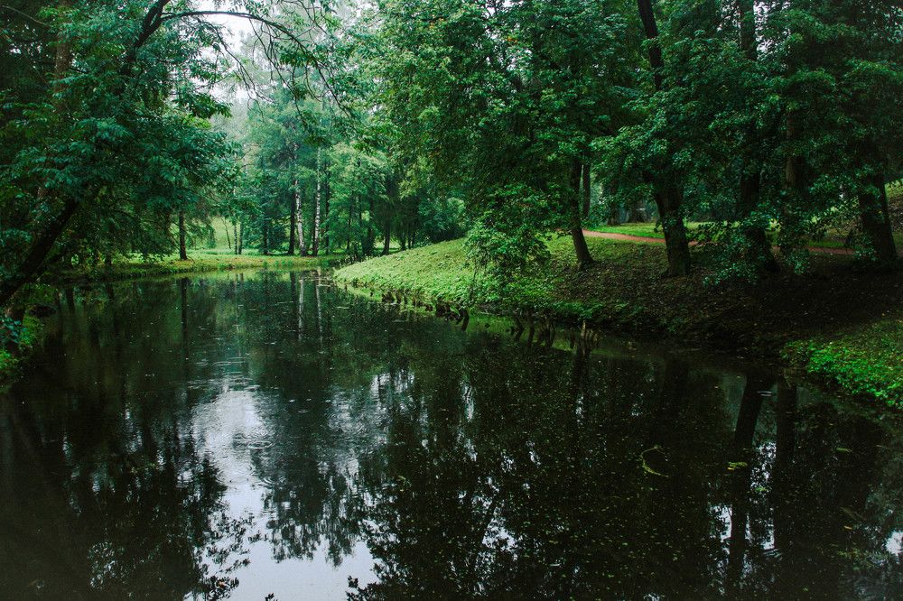 Photograph by Ефимова Анна