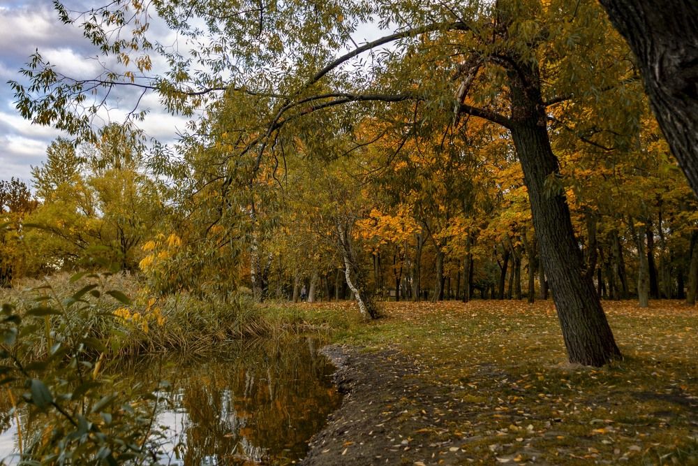 Photograph by Андрей Ныриков