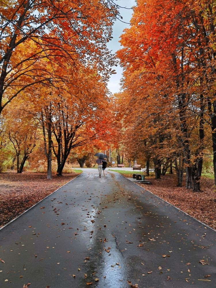 Романтика осени