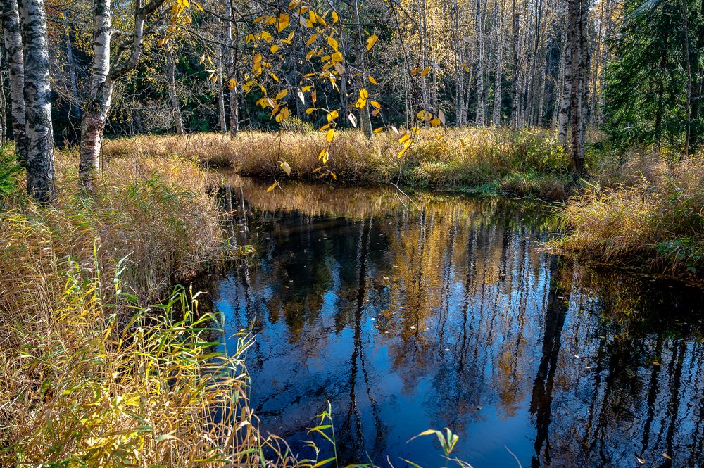 Фотография автора Андрей Васильев